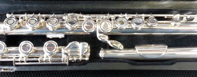 Vestus flute with key extension