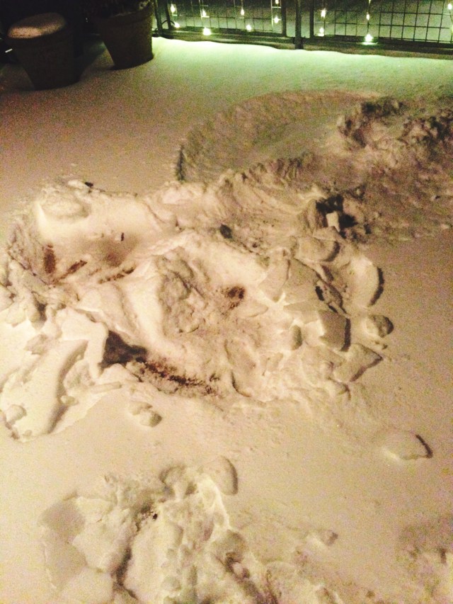 Snow Angel