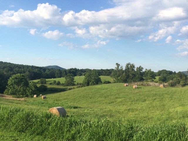 The View at Castelton