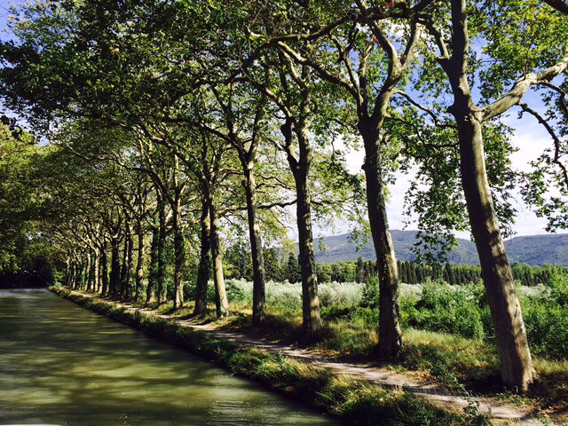 The Canal du Midi
