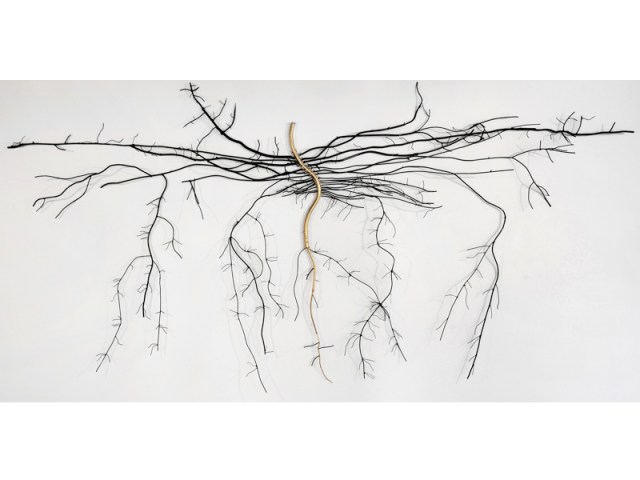 Germination of Gold by Dalya Luttwak