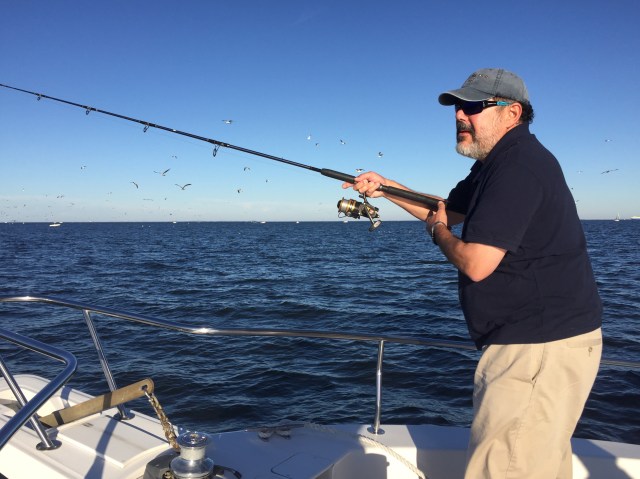 Could it be a big one?