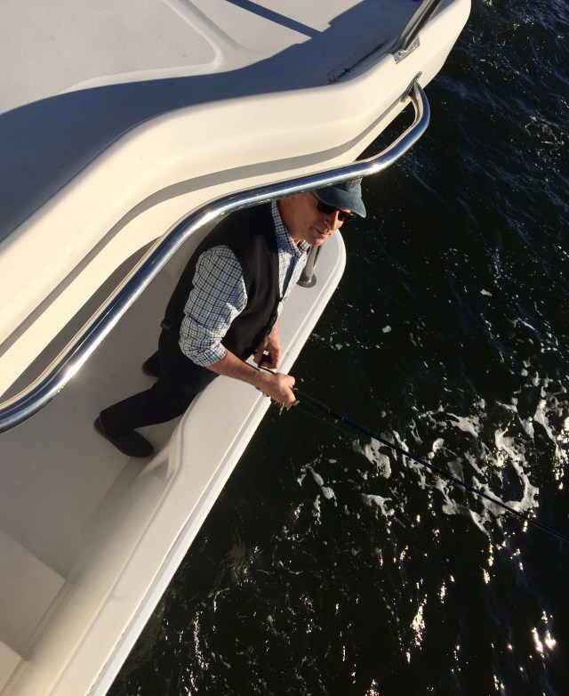 Something's Fishy on the Bay